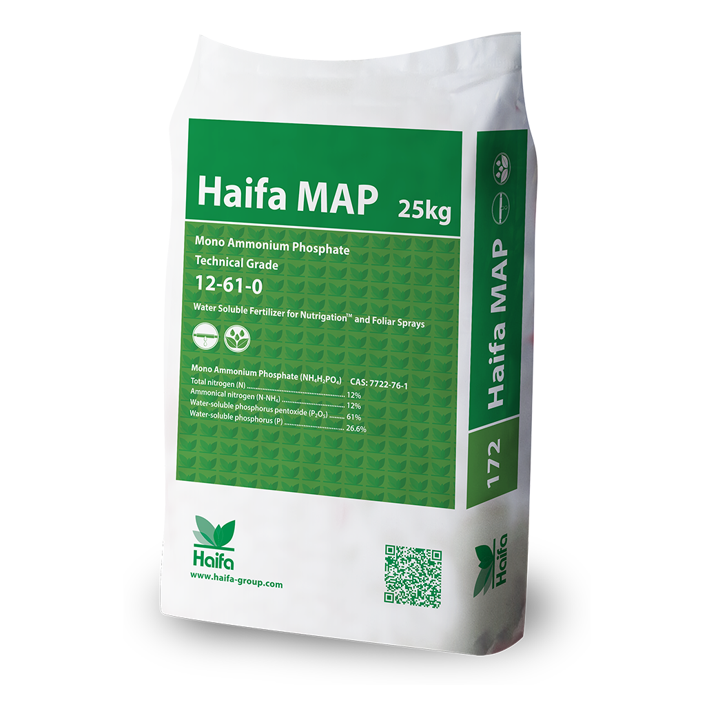 Haifa MAP (12-61-0)